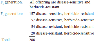 A cross was made between two strains of plants that are agriculturally important. One strain was disease-resistant but herbicide-sensitive; the other strain was disease-sensitive but herbicide-resistant. A plant breeder crossed the two plants and then allowed the F 1 generation to self-fertilize. The following data were obtained:     Formulate a hypothesis that you think is consistent with the observed data. Test the goodness of fit between the data and your hypothesis using a chi square test. Explain what the chi square results mean.