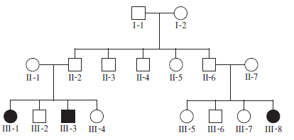 Sandhoff disease is due to a mutation in a gene that encodes a protein called hexosaminidase B. This disease has symptoms that are similar to Tay-Sachs disease. Weakness begins in the first 6 months of life. Individuals exhibit early blindness and progressive mental and motor deterioration. The pedigree shown here contains three members with Sandhoff disease. Affected members are shown with black symbols. A. Based on this pedigree, does this syndrome appear to be an autosomal recessive, autosomal dominant, X-linked recessive, or X-linked dominant trait Explain your reasoning. B. What is the likelihood that II-1, II-2, II-3, II-4, II-5, II-6, and II-7 carry a mutant allele for the hexosaminidase B gene