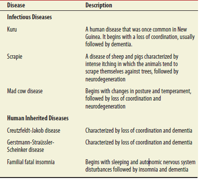 Some people have a genetic predisposition for developing prion diseases. Examples are described in Table 24.6. In the case of Gerstmann-Straüssler-Scheinker disease, the age of onset is typically at 30-50 years, and the duration of the disease (which leads to death) is about 5 years. Suggest a possible explanation why someone can live for a relatively long time without symptoms and then succumb to the disease in a relatively short time. Table 24.6 Neurodegenerative Diseases Caused by Prions*