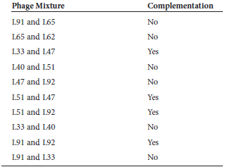 Here are data from several complementation experiments, involving rapid-lysis mutations in genes rIIA and rIIB. The strain designated L51 is known to have a mutation in rIIB.      a. List which groups of mutations are in the rIIA gene and which groups are in the rIIB gene.
