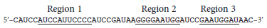 An RNA molecule has the following sequence: a. Parts of region 1 can form a stem-loop with region 2 and with region 3. Can region 1 form a stem-loop with region 2 and region 3 at the same time Why or why not Which stem-loop would you predict to be more stable: a region 1/region 2 interaction or a region 1/region 3 interaction Explain your choice.