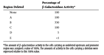 You will need to understand solved problem S4 before answering this question. A muscle-specific gene was cloned and then subjected to promoter bashing. As shown here, six regions, labeled A-F, were deleted, and then the DNA was transformed into muscle cells. a. The data shown here are from this experiment. a. Explain these results.Problem S4 A common approach to identify genetic sequences that play a role in the transcriptional regulation of a gene is the strategy sometimes called promoter bashing. This approach requires gene cloning methods, which are described in Chapter 20. A clone is obtained that has the coding region for a protein-encoding gene as well as the region that is upstream from the core promoter. This upstream region is likely to contain genetic regulatory elements such as enhancers and silencers. The diagram shown here depicts a cloned DNA region that contains the upstream region, the core promoter, and the coding sequence for a protein that is expressed in human liver cells. The upstream region may be several thousand base pairs in length. a. To determine if promoter bashing has an effect on transcription, it is helpful to have an easy way to measure the level of gene expression. One way to accomplish this is to swap the coding sequence of the gene of interest with the coding sequence of another gene. For, example, the coding sequence of the lacZ gene, which encodes -galactosidase, is frequently swapped because it is easy to measure the activity of -galactosidase using an assay for its enzymatic activity. The lacZ gene is called a reporter gene because its activity is easy to measure. As shown here, the coding sequence of the lacZ gene has been swapped with the coding sequence of the liver- specific gene. In this new genetic construct, the expression and transcriptional regulation of the lacZ gene are under the control of the core promoter and upstream region of the liver-specific gene. a. Now comes the bashing part of the experiment. Different segments of the upstream region are deleted, and then the DNA is transformed into living cells. In this case, the researcher would probably transform the DNA into liver cells, because those are the cells where the gene is normally expressed. The last step is to measure the -galactosidase activity in the transformed liver cells.In the diagram shown here, the upstream region and the core promoter have been divided into five regions, labeled A-E. a. One of these regions was deleted (i.e., bashed out), and the rest of the DNA segment was transformed into liver cells. The data shown here are from this experiment. a. Explain what these results mean.