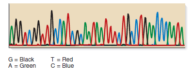 A sample of DNA was subjected to automated DNA sequencing as shown here.    a. What is the sequence of this DNA segment