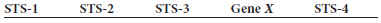 A human gene, which we will call gene X , is located on chromosome 11 and is found as a normal allele and a recessive disease-causing allele. The location of gene X has been approximated on the map shown here that contains four STSs, labeled STS-1, STS-2, STS-3, and STS-4.    a. Explain the general strategy of positional cloning b. If you applied the approach of positional cloning to clone gene X , where would you begin As you progressed in your cloning efforts, how would you know if you were walking toward or away from gene X  C. How would you know you had reached gene X (Keep in mind that gene X exists as a normal allele and a disease-causing allele.)