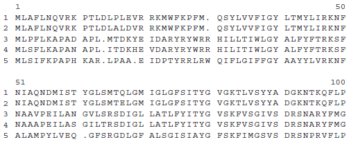 A multiple sequence alignment of five homologous proteins is shown here:     a. Discuss some of the interesting features that this alignment reveals.