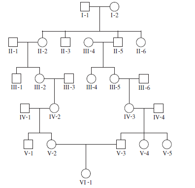 Using the pedigree shown here, answer the following questions for individual VI-1: a. Is this individual inbred B. If so, who are her common ancestor(s) C. Calculate the inbreeding coefficient for VI-1 d. Are the parents of VI-1 inbred