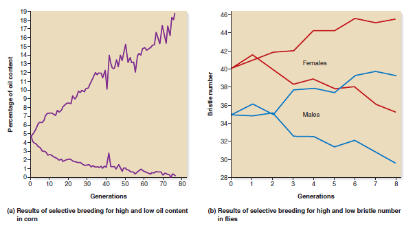 When artificial selection is practiced over many generations, it is common for the trait to reach a plateau in which further selection has little effect on the outcome of the trait. This phenomenon is illustrated in Figure 27.11. Explain why.FIGURE 27.11 Common results of selective breeding for a quantitative trait.  <div style=padding-top: 35px> 