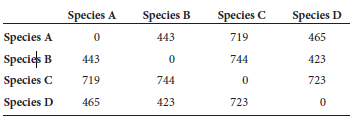 A homologous DNA region, which was 20,000 bp in length, was sequenced among four different species. The following number of nucleotide differences were obtained:   a. Construct a phylogenetic tree that describes the evolutionary relationships among these four species using the UPGMA method. Your tree should include values that show the percentage of nucleotide substitutions.<div style=padding-top: 35px> 