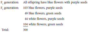 A cross was made between a plant that has blue flowers and purple seeds to a plant with white flowers and green seeds. The following data were obtained:   Start with the hypothesis that blue flowers and purple seeds are dominant traits and that the two genes assort independently. Calculate a chi square value. What does this value mean with regard to your hypothesis If you decide to reject your hypothesis, which aspect of the hypothesis do you think is incorrect (i.e., the idea that blue flowers and purple seeds are dominant traits, or the idea that the two genes assort independently)<div style=padding-top: 35px> 