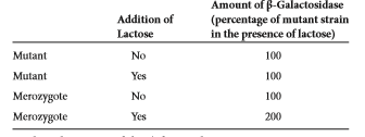 Let's suppose you have isolated a mutant strain of E. coli in which the lac operon is constitutively expressed. To understand the nature of this defect, you create a merozygote in which the mutant strain contains an F' factor with a normal lac operon and a normal lacl gene. You then compare the mutant strain and the merozygote with regard to their -galactosidase activities in the presence and absence of lactose. You obtain the following results: Explain the nature of the defect in the mutant strain.