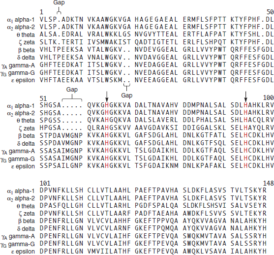 Take a look at the multiple sequence alignment in Figure 23.10 of the globin polypeptides from amino acids 101 tO₁48. A. Which of these amino acids are likely to be most important for globin structure and function Explain why. B. Which are likely to be least important  FIGURE 23.10 A multiple sequence alignment among selected members of the globin gene family in humans.  