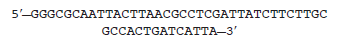 Here is a short nucleotide sequence within a gene. Via the Internet (e.g., see www.ncbi.nlm.nih.gov/Tools), determine what gene this sequence is found within. Also, determine the species in which this gene sequence is found.  