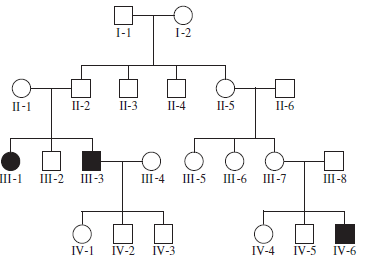 Hurler syndrome is due to a mutation in a gene that encodes a protein called -L-iduronidase. This protein functions within the lysosome as an enzyme that breaks down mucopolysaccharides (a type of polysaccharide that has many acidic groups attached). When this enzyme is defective, excessive amounts of the mucopolysaccharides dermatan sulfate and heparin sulfate accumulate within the lysosomes, especially in liver cells and connective tissue cells. This leads to symptoms such as an enlarged liver and spleen, bone abnormalities, corneal clouding, heart problems, and severe neurological problems. The pedigree shown here contains three members affected with Hurler syndrome, indicated with black symbols. Based on this pedigree, does this syndrome appear to be an autosomal recessive, autosomal dominant, X-linked recessive, or X-linked dominant trait Explain your reasoning.