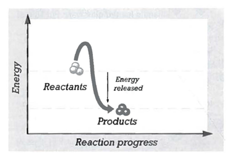 INTERPRETING GRAPHICS: The graph below shows the energy in a chemical reaction as the reaction progresses. Use the graph to answer the questions that follow.   The amount of energy needed for this chemical reaction to begin is shown by the line rising from the reactants. What is this energy called? A) chemical energy B) electrical energy C) activation energy D) mechanical energy