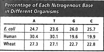 INTERPRETING GRAPHICS: The table below shows the percentage of bases in some organisms. Use the table to answer the questions that follow. What is the ratio of purines to pyrimidines for these organisms? A) about 1:1 B) about 1:2 C) about 1:3 D) about 1:4