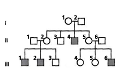 INTERPRETING GRAPHICS: The image below is a pedigree showing the inheritance of hemophilia in a family. Use the pedigree to answer the question that follows. A Pedigree of Hemophilia   Which type of inheritance pattern is associated with hemophilia? A) autosomal recessive B) sex-linked dominant C) sex-linked recessive D) autosomal dominant