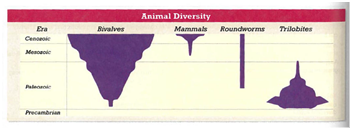 Interpreting Graphics The graph below shows the diversity among different groups of animals over time. Of the four eras listed, the Cenozoic era is the most recent. The changing width of the bar for each group reflects the changing number of known subgroups over geologic time. Use the graph to answer the following questions: A. Which group most recently evolved? b. Which group is or was the most diverse? The least diverse? c. Which group diversified rapidly soon after it first appeared? d. Which group(s) became extinct?