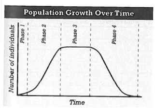INTERPRETING GRAPHICS: The graph below shows the size of a particular population over time. Use the graph to answer the question that follows.   In the graph, which time period shows negative growth of the population? A) phase 1 B) phase 2 C) phase 3 D) phase 4