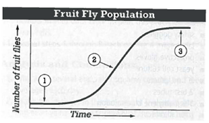 INTERPRETING GRAPHICS: The graph below shows the growth of a population of fruit flies over time. Use the graph to answer the question that follows.   At which point would a density-dependent limiting factor have a greater impact on the population? A) 1 B) 2 C) 3 D) Both 1 and 3