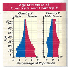 Interpreting Graphics The population of country X is projected to grow rapidly in the next few decades, while slow growth is projected for country Y. Explain these projections based on the age structure graphs shown below.   