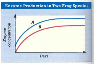 Analyzing Graphics When tadpoles undergo metamorphosis, their bodies begin to produce an enzyme that converts ammonia into urea. The time that a tadpole takes to produce this enzyme varies among species. In the graph below, the rate of enzyme production is shown for a species that inhabits a desert-like environment and a species that inhabits a forest environment. Which curve represents which frog? Explain.  <div style=padding-top: 35px> 