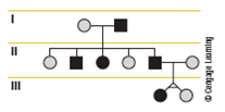 What pattern of inheritance is suggested by the following pedigree? b. For genotype assignment, assume that the pedigree is for an autosomal dominant trait and that the affected male in the first generation is heterozygous. Assign genotypes to all other individuals in the pedigree.