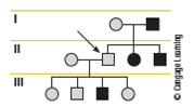 In the following pedigree, assume that the father of the proband is homozygous for a rare trait. What pattern of inheritance is consistent with this pedigree? In particular, explain the phenotype of the proband.  