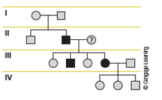 Using the following pedigree, deduce a compatible pattern of inheritance. Identify the genotype of the individual in question.  