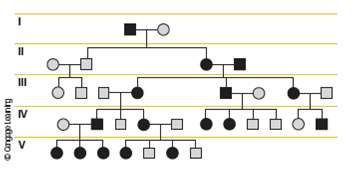The following is a pedigree for a common genetic trait. Analyze the pedigree to determine whether the trait is inherited as: A) autosomal dominant B) autosomal recessive C) X-linked dominant D) X-linked recessive E) Y-linked