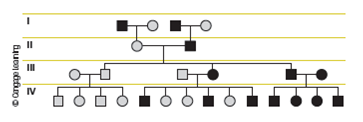 As a genetic counselor investigating a genetic disorder in a family, you are able to collect a four-generation pedigree that details the inheritance of the disorder in question. Analyze the information in the pedigree to determine whether the trait is inherited as: A) autosomal dominant B) autosomal recessive C) X-linked dominant D) X-linked recessive E) Y-linked