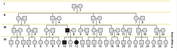 Familial retinoblastoma, a rare autosomal dominant defect, arose in a large family that had no prior history of the disease. Consider the following pedigree (the darkly colored symbols represent affected individuals): A) Circle the individual(s) in which the mutation most likely occurred. B) Is the person who is the source of the mutation affected by retinoblastoma? Justify your answer. C) Assuming that the mutant allele is fully penetrant, what is the chance that an affected individual will have an affected child?