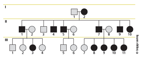 You are a researcher studying bipolar disorder. Your results from genomic SNP analysis show linkage between SNP haplotypes on chromosome 7 and bipolar illness. Later in the study, you find that a number of individuals do not carry this SNP haplotype but still develop the disease. Does this mean that bipolar disorder is not genetic?  <div style=padding-top: 35px> 