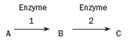 <strong>The following hypothetical pathway in which substance A is converted to substance C by enzymes 1 and 2. Substance B is the intermediate produced in this pathway: </strong> A) If the first individual in Question 4 married the second individual, would their children be able to convert substance A into substance C B) Suppose each of the adults mentioned in part a was heterozygous for an autosomal dominant mutation that prevents any enzyme function. List the phenotypes of their children with respect to compounds A, B, and C. (Would the compound be in excess, not present, and so on )