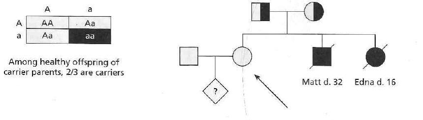 Jane, a healthy woman, was referred for genetic counseling because she had two siblings, a brother Matt and a sister Edna, with cystic fibrosis who died at the ages of 32 and 16, respectively. Jane's husband, John, has no family history of cystic fibrosis. Jane wants to know the probability that she and John will have a child with cystic fibrosis. The genetic counselor used the Hardy-Weinberg model to calculate the probability that this couple will have an affected child. The counselor explained that there is a two-in-three chance that Jane is a carrier for the mutant CFTR allele; she used a Punnett square to illustrate this. The probability that John is a carrier is equal to the population carrier frequency (2pq). The probability that John and Jane will have a child who has cystic fibrosis equals the probability that Jane is a carrier (2/3), multiplied by the probability that John is a carrier (2pq), multiplied by the probability that they will have an affected child if they are both carriers (1/4). It is now possible to use preimplantation testing, which involves in vitro fertilization plus genetic testing of the embryo before implantation, to ensure that a heterozygous couple has a child free of cystic fibrosis. Do you see any ethical problems or potential future dangers associated with this technology?