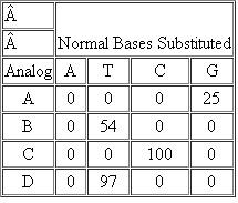 Base analogs are compounds that resemble the natural bases found in DNA and RNA but are not normally found in those macromolecules. Base analogs can replace their normal counterparts in DNA during in vitro DNA synthesis. Researchers studied four base analogs for their effects on in vitro DNA synthesis using E. coli DNA polymerase. The results were as follows, with the amounts of DNA synthesized expressed as percentages of the DNA synthesized from normal bases only:   Which bases are analogs of adenine? of thymine? of cytosine? of guanine?<div style=padding-top: 35px> 