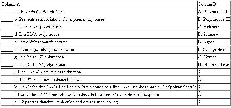 The following events, steps, or reactions occur during E. coli DNA replication. For each entry in column A, select its match(es) from column B. Each entry in A may have more than one match, and each entry in B can be used more than once.  <div style=padding-top: 35px> 