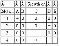 The following growth responses (where growth and 0 no growth) of mutants 1-4 were seen on the related biosynthetic intermediates A, B, C, D, and E: Assume that all intermediates are able to enter the cell, that each mutant carries only one mutation, and that all mutants affect steps after B in the pathway. Which of the following schemes best fits the data with regard to the biosynthetic pathway?