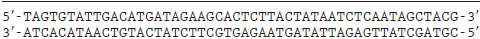 coli transcript with the first two nucleotides 5'-AG-3' is initiated from the segment of double-stranded DNA in Figure below: a. Where is the transcription start site? b. What are the approximate locations of the regions that bind the RNA polymerase homoenzyme? c. Does transcription elongation proceed toward the right or left? d. Which DNA strand is the template strand? e. Which DNA strand is the RNA-coding strand? Figure