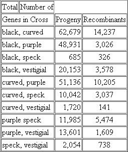 The following data are from Bridges and Morgan's work on recombination between the genes black (black body color), curved (curved wings), purple (purple eyes), speck (black specks on wings), and vestigial (crumpled wings) in chromosome 2 of Drosophila : Based on the data, map the chromosome for these five genes as accurately as possible. (Remember that determinations for short distances are more accurate than those for long ones.)
