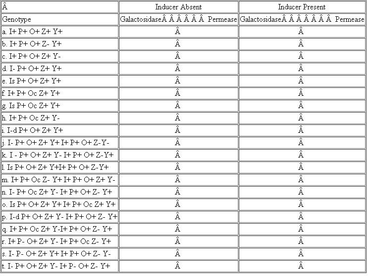 This question involves the lac operon of E. coli, where I = lacI (the repressor gene), P = P lac (thepromoter), O = lacO (the operator), Z = lacZ (the - ? galactosidase gene), and Y = lacY (the permease gene). Complete Table, using + to indicate that the enzyme in question will be synthesized and - to indicate that the enzyme will not be synthesized. Table