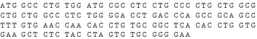 The following sequence is that of the first 45 codons from the human gene for preproinsulin. Using the genetic code (Figure, p. 108), determine what fraction of mutations at the first, second, and third positions of these 45 codons will be synonymous. Figure At which position is natural selection likely to have the greatest effect and nucleotides are most likely to be conserved?