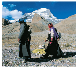 Adapting to Life at High Elevations  Humans, like all other organisms, have an evolutionary history. This means not only that we share common ancestors with other animals but also that over time we demonstrate adaptations to changing environmental conditions. One study of populations living in the highelevation mountains of Tibet (Fig. 1A) demonstrates how the processes of evolution and adaptation influence humans. Normally, if a person moves to a higher altitude, his or her body responds by making more hemoglobin, the component of blood that carries oxygen, which thickens the blood. For minor elevation changes, this does not present much of a problem. But for people who live at extreme elevations (some people in the Himalayas can live at elevations of over 13,000 ft, or close to 4,000 m), this can present a number of health problems, including chronic mountain sickness, a disease that affects people who live at high altitudes for extended periods of time. The problem is that, as the amount of hemoglobin increases, the blood thickens and becomes more viscous. This can cause elevated blood pressure, or hypertension, and an increase in the formation of blood clots, both of which have negative physiological effects. Figure 1A Humans' adaptations to their environments. Humans have adaptations that allow them to live at high altitudes, such as these individuals in Tibet.    Because high hemoglobin levels would be a detriment to people at high elevations, it makes sense that natural selection would favor individuals who produced less hemoglobin at high elevations. Such is the case with the Tibetans in this study. Researchers have identified an allele of a gene that reduces hemoglobin production at high elevations. Comparisons between Tibetans at both high and low elevations strongly suggest that selection has played a role in the prevalence of the high-elevation allele. The gene is EPSA1 , located on chromosome 2 of humans. EPSA1 produces a transcription factor, which basically regulates which genes are turned on and off in the body, a process called gene expression. The transcription factor produced by EPSA1 has a number of functions in the body. For example, in addition to controlling the amount of hemoglobin in the blood, this transcription factor also regulates other genes that direct how the body uses oxygen. When the researchers examined the variations in EPSA1 in the Tibetan population, they discovered that their version greatly reduces the production of hemoglobin. Therefore, the Tibetan population has lower hemoglobin levels than people living at lower altitudes, allowing these individuals to escape the consequences of thick blood. How long did it take for the original population to adapt to living at higher elevations? Initially, the comparison of variations in these genes between high-elevation and low-elevation Tibetan populations suggested that the event may have occurred over a 3,000-year period. But researchers were skeptical of that data since it represented a relatively rapid rate of evolutionary change. Additional studies of genetic databases yielded an interesting finding-the EPSA1 gene in Tibetans was identical to a similar gene found in an ancient group of humans called the Denisovans (see chapter 32). Scientists now believe that the EPSA1 gene entered the Tibetan population around 40,000 years ago, either through interbreeding between early Tibetans and Denisovans, or from one of the immediate ancestors of this lost group of early humans. What other environments do you think could be studied to look for examples of human adaptation?