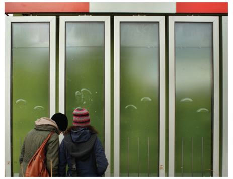 Diesel Power from Algae  Algae are at the base of many food chains. But researchers are now using algae to produce a variety of different fuel types. Solazyme, a San Francisco-based company, has discovered the methods necessary to produce crude oil from various plant-based sugars with the help of microalgae (Fig. 8A). The process they have developed does not depend on the photosynthetic ability of the algae. It uses genetically modified algae grown in large vats. Instead of being exposed to sunlight, the algae are fed sugar that they convert into various types of oil. Different types of algae produce different types of oil. Because the algae are grown in the dark, the genes for photosynthesis have been switched off. With these genes turned off, the algae actually make more oil. Algae-based biofuels are considered green fuels. These fuels can be used for a variety of purposes, but one of the more common is the production of biodiesel that can be used in cars and mass transportation systems. Some of the benefits of Solazyme-based fuels over traditional petroleum-based fuels are that they meet industry standards and can be used with factory-standard diesel engines without any type of modifications. Not just automobiles may be powered by these biofuels. In 2010, Solazyme delivered 80,000 liters of marine diesel and jet fuel to the U.S. Navy that was derived from algae-based production. In 2011, a United Airways jet conducted the first commercial flight powered by biofuels. The oils produced by the algae are not only used for the production of fuel, but may also be used to manufacture cosmetics and food additives. With the increasing concern over the effects of global climate change on the world's populations and ecosystems, many governments (both local and national) and private industries are looking to use biofuels as an alternative green-energy source. Currently, demand still outpaces the production abilities of the companies, but advances in technology and techniques will increasingly make biofuels an attractive alternate energy source. Figure 8A Production of biodiesel from algae. The algae in these containers have the ability to produce a form of oil that can be used as a fuel.    Why would growing algae help reduce the carbon footprint of a city or town?