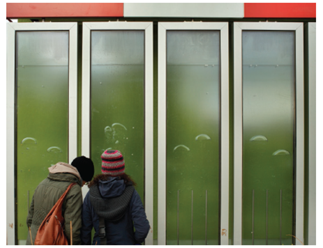 Diesel Power from Algae  Algae are at the base of many food chains. But researchers are now using algae to produce a variety of different fuel types. Solazyme, a San Francisco-based company, has discovered the methods necessary to produce crude oil from various plant-based sugars with the help of microalgae (Fig. 8A). The process they have developed does not depend on the photosynthetic ability of the algae. It uses genetically modified algae grown in large vats. Instead of being exposed to sunlight, the algae are fed sugar that they convert into various types of oil. Different types of algae produce different types of oil. Because the algae are grown in the dark, the genes for photosynthesis have been switched off. With these genes turned off, the algae actually make more oil. Algae-based biofuels are considered green fuels. These fuels can be used for a variety of purposes, but one of the more common is the production of biodiesel that can be used in cars and mass transportation systems. Some of the benefits of Solazyme-based fuels over traditional petroleum-based fuels are that they meet industry standards and can be used with factory-standard diesel engines without any type of modifications. Not just automobiles may be powered by these biofuels. In 2010, Solazyme delivered 80,000 liters of marine diesel and jet fuel to the U.S. Navy that was derived from algae-based production. In 2011, a United Airways jet conducted the first commercial flight powered by biofuels. The oils produced by the algae are not only used for the production of fuel, but may also be used to manufacture cosmetics and food additives. With the increasing concern over the effects of global climate change on the world's populations and ecosystems, many governments (both local and national) and private industries are looking to use biofuels as an alternative green-energy source. Currently, demand still outpaces the production abilities of the companies, but advances in technology and techniques will increasingly make biofuels an attractive alternate energy source. Figure 8A Production of biodiesel from algae. The algae in these containers have the ability to produce a form of oil that can be used as a fuel.    Fossil fuels are still relatively cheap to extract and produce. What technology advances do you think are needed to make biodiesel cheaper to produce?