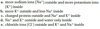 Choose the best answer for each question. Which of these correctly describes the distribution of ions on either side of an axon when it is not conducting a nerve impulse?  