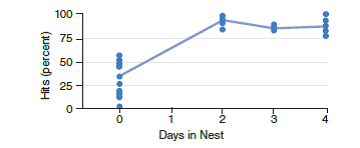 <strong>Choose the best answer for each question. How would the following graph differ if begging behavior in laughing gulls was a fixed action pattern? </strong> A) It would be a diagonal line with an upward incline. B) It would be a diagonal line with a downward incline. C) It would be a horizontal line. D) It would be a vertical line. E) None of these are correct.