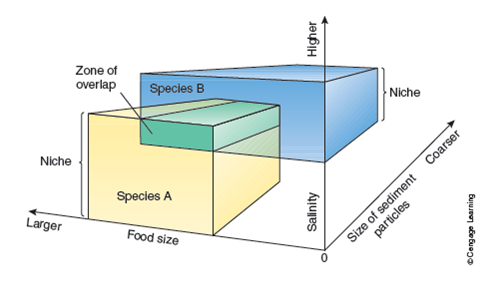 Does the area of overlap in Figure indicate that species A and species B have overlapping niches and will be in direct competition under those conditions? Why or why not? Figure A NICHE. An organism's niche is determined by a variety of abiotic and biotic factors acting together on the organism. This three-dimensional graph shows how several factors (food size, salinity, and size of sediment particles) interact to form niches for two species of burrowing worm. On the basis of this graph, we can see that species A prefers to burrow in substratum composed of smaller sediment particles where the salinity of the water is low and prefers to feed on medium- to large-sized food items. Species B, on the other hand, prefers coarser sediments where the salinity of the water is higher and prefers smaller food items. The zone of overlap indicates the combination of sediments, salinity, and food that would meet the requirements of both organisms.  