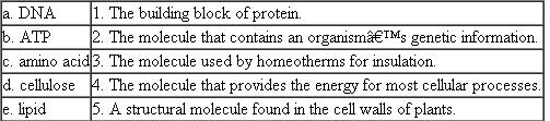 Match the following molecules with their appropriate function: