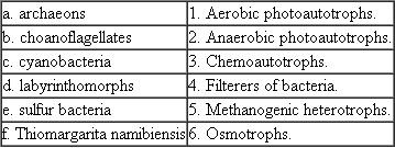 Match the following microbial groups with their modes of nutrition: