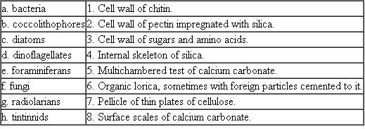 Match the following microbial groups with their cell coverings or skeletons: